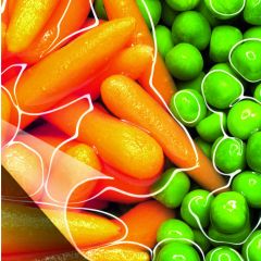 Ritrama Rijet P75 5-7yr Clear Print Material